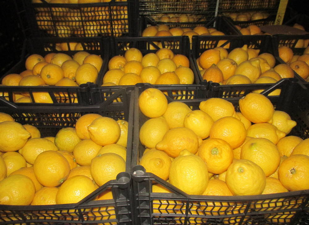 Где Купить Лимоны В Москве