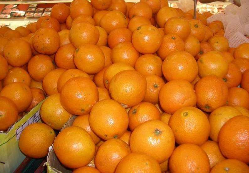 Апельсины оптом в Москве