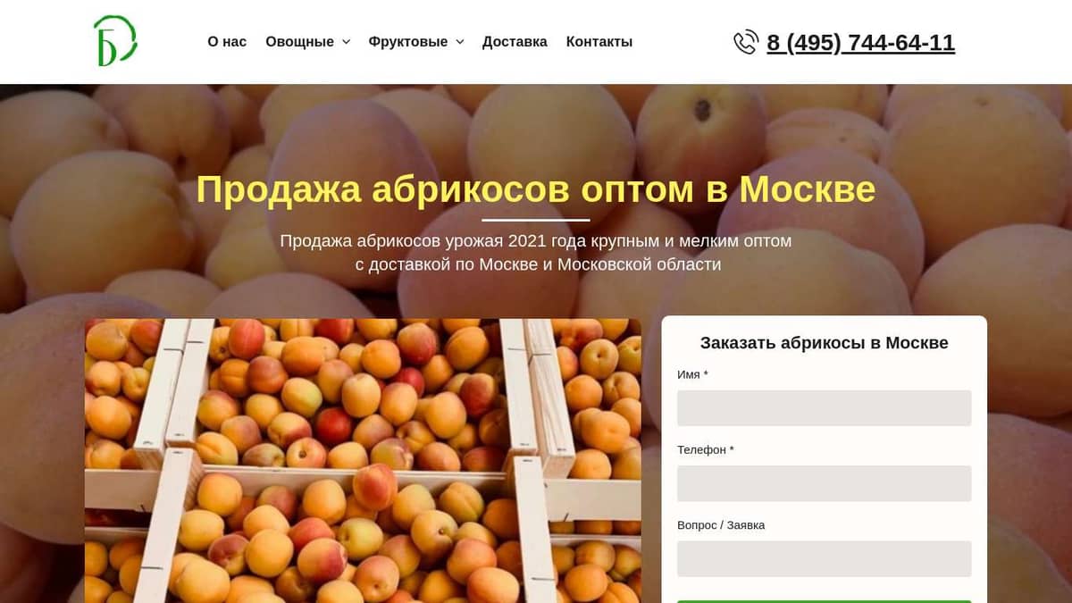 Купить абрикосы в Москве - продажа абрикосов оптом от производителя Москвы